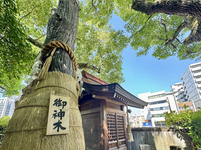 大阪府の健康運アップ神社おすすめ6選!神農さんや石切さんなど有名神社を厳選