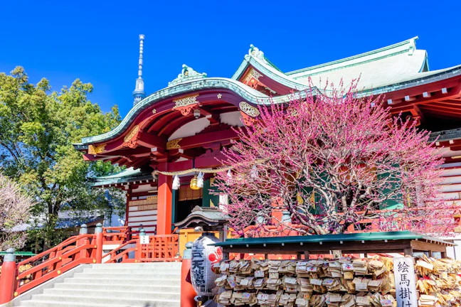 【東京】合格祈願に人気のおすすめ神社仏閣6選|お守りや見どころも