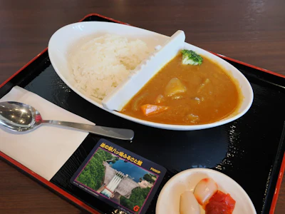 ダム観光】ダムカード・ダムカレー・黒部ダム以外のおすすめなどをご
