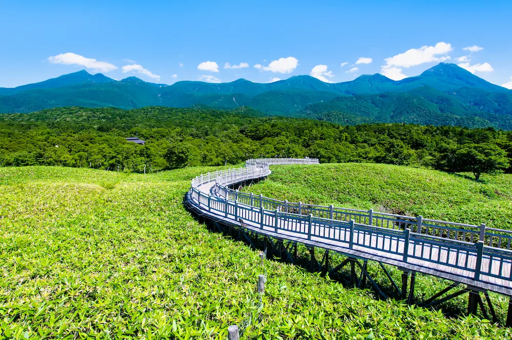 夏の北海道】7月、8月、9月が見頃・おすすめのスポット10選！ | Prism 