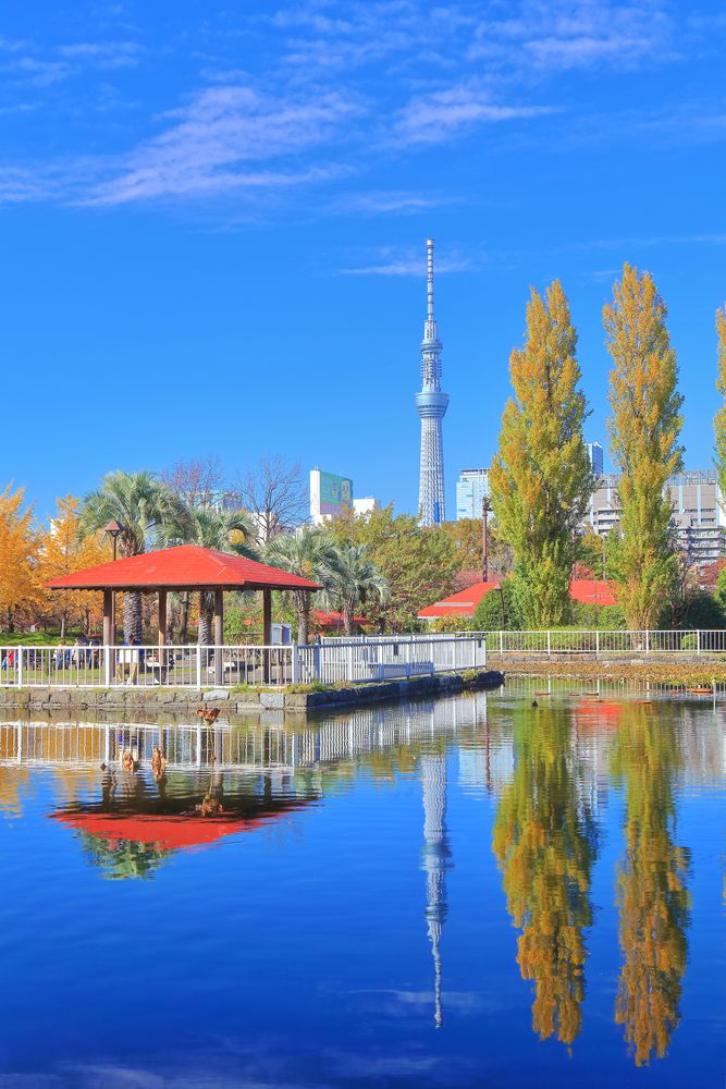 東京スカイツリーの画像 - 5枚目