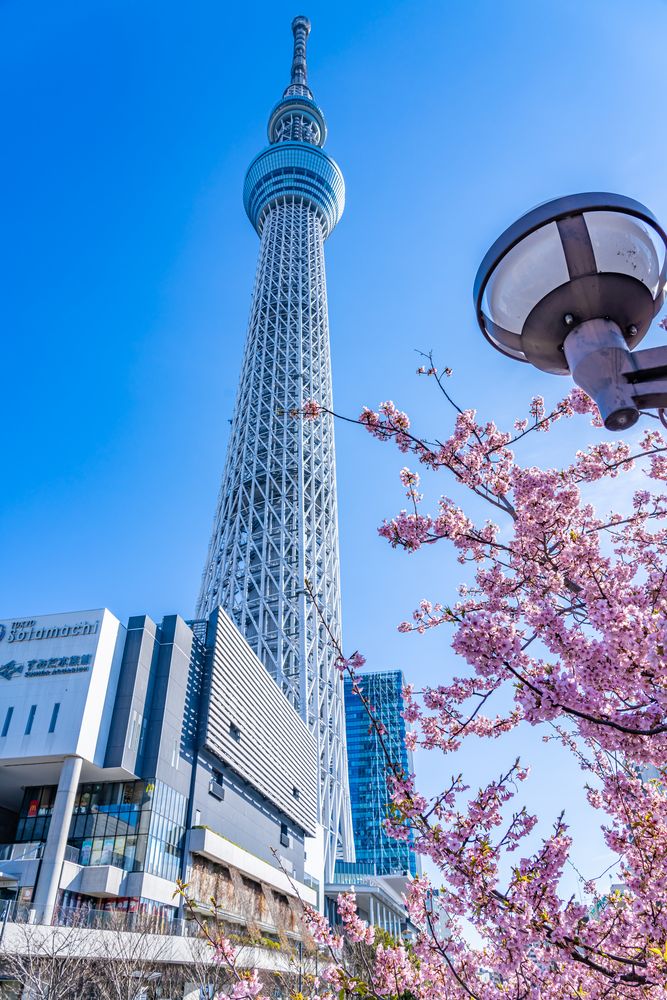 東京スカイツリー】の周辺スポット・アクセス・口コミ - Prism Japan