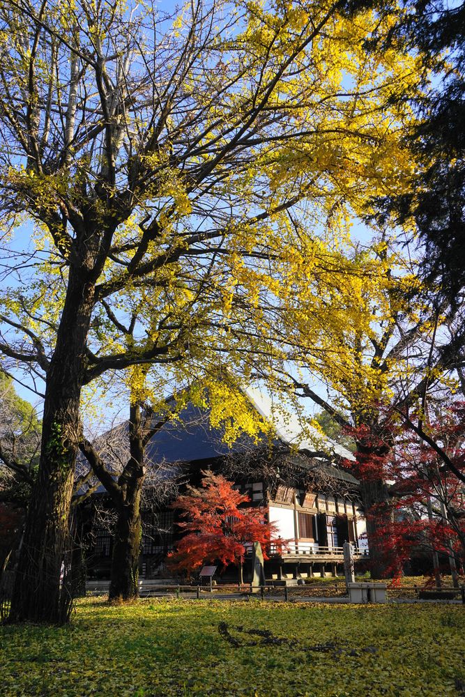 九品仏 浄真寺の画像 - 3枚目