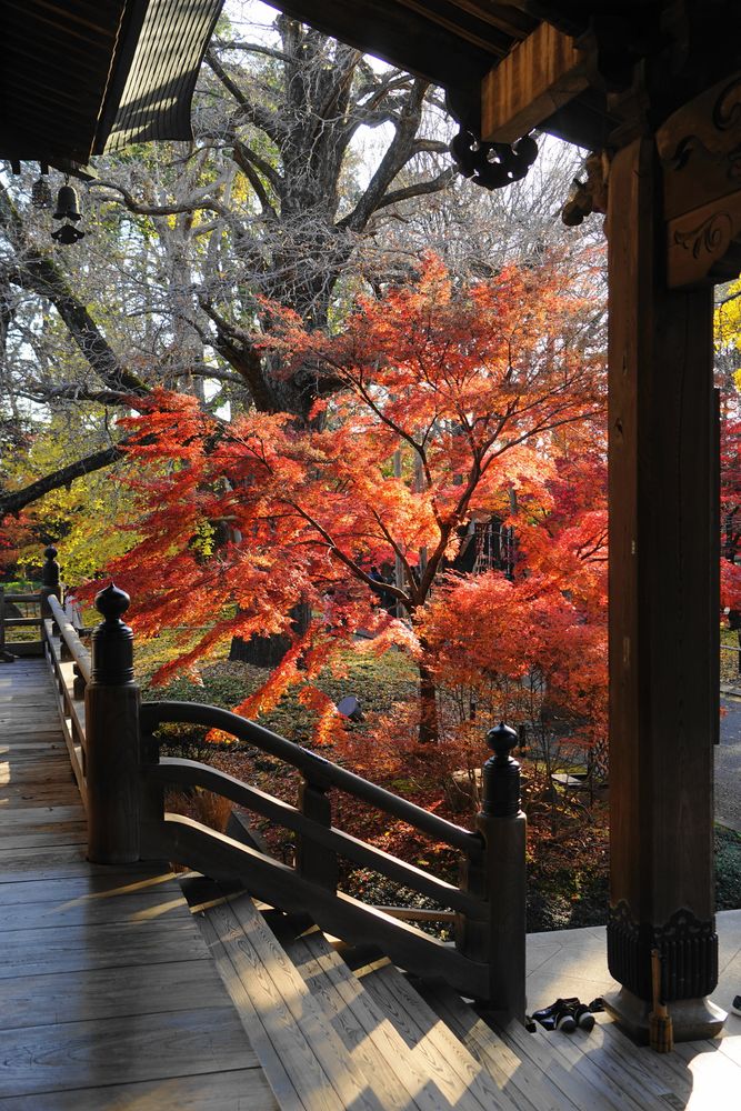 九品仏 浄真寺の画像 - 4枚目