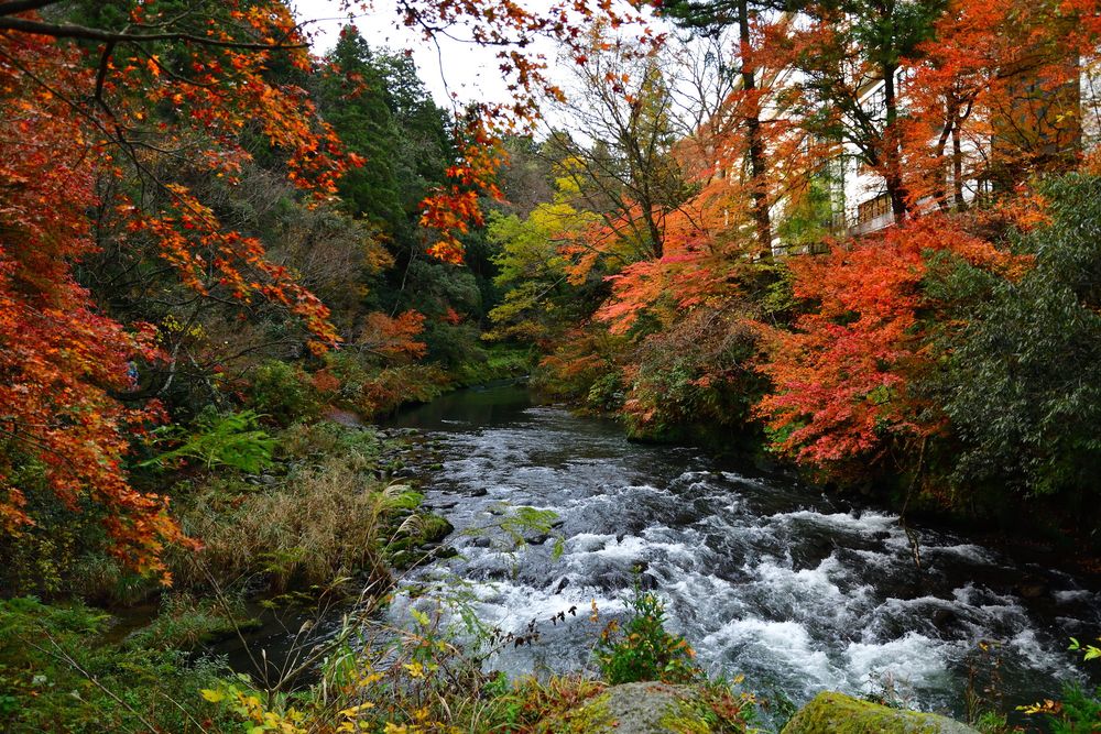山中温泉の画像 - 3枚目