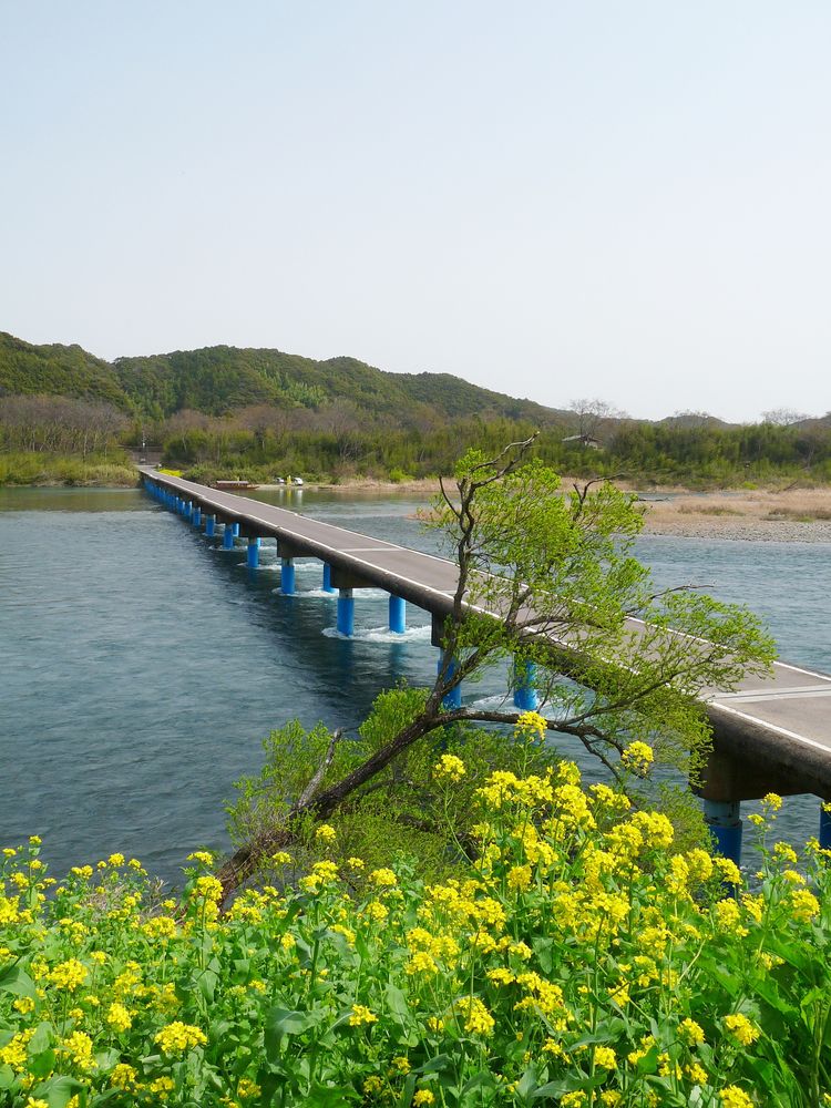 佐田沈下橋の画像 - 5枚目