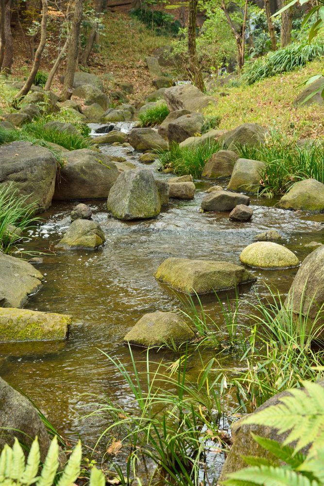 北の丸公園の画像 - 2枚目