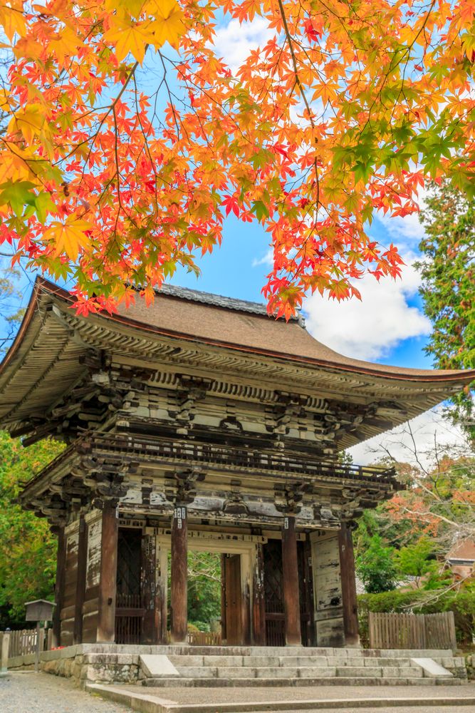 三井寺の画像 - 3枚目