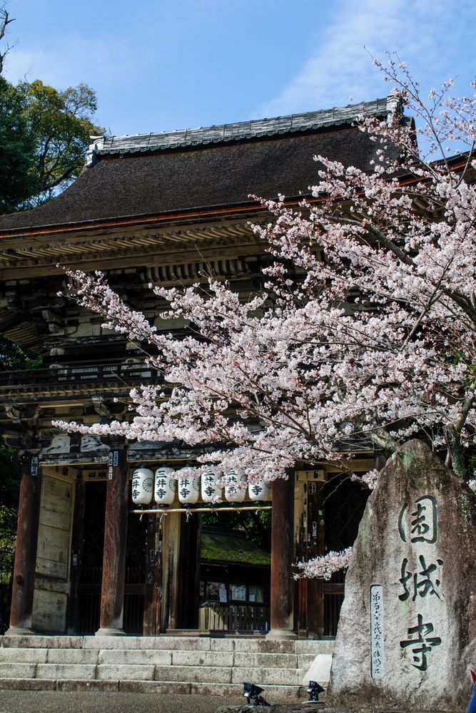 三井寺の画像 - 4枚目