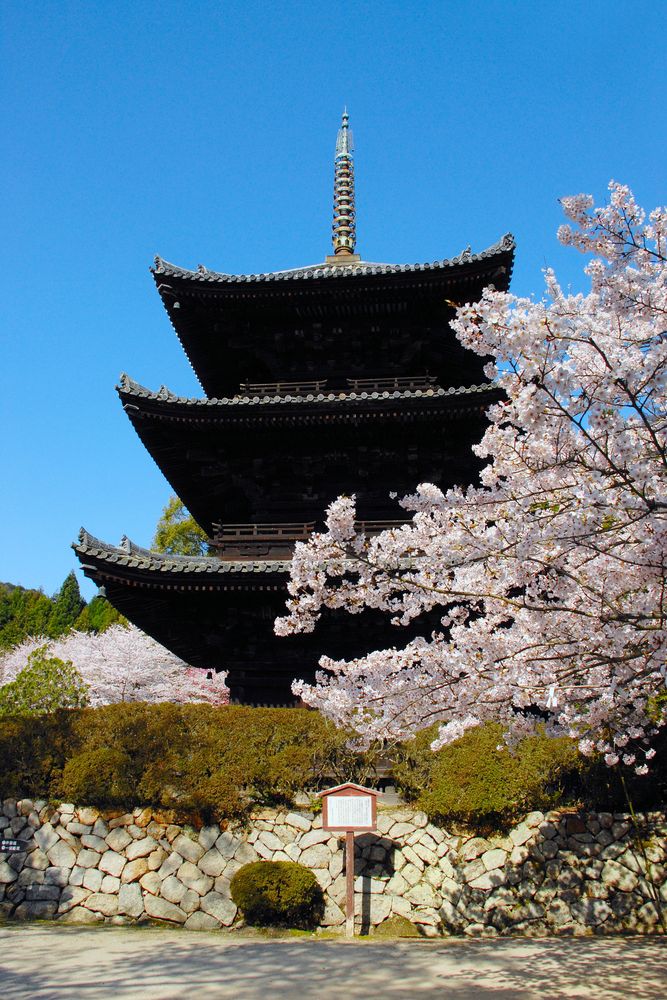 三井寺の画像 - 5枚目