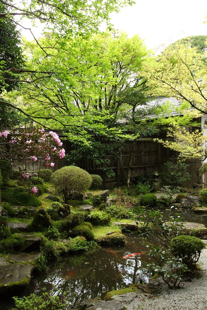 宝泉院の画像 - 2枚目