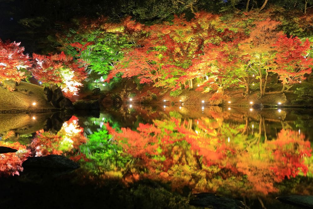 栗林公園の画像 - 4枚目