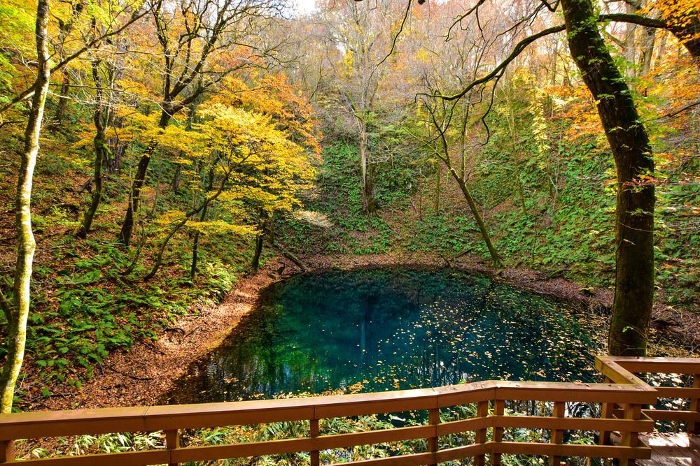 青池の画像 - 3枚目