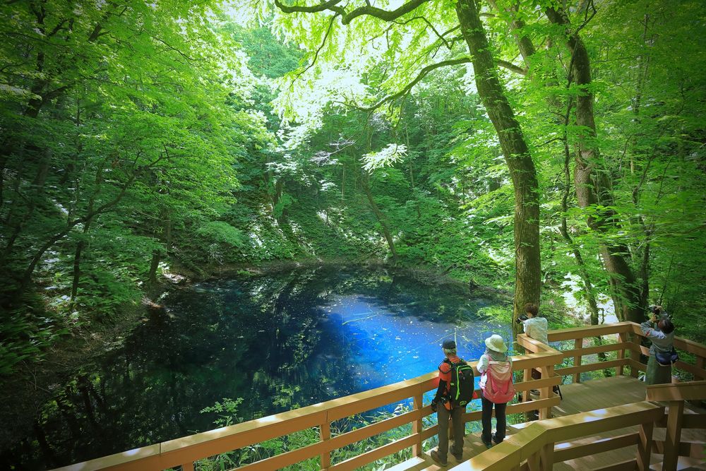 青池の画像 - 4枚目