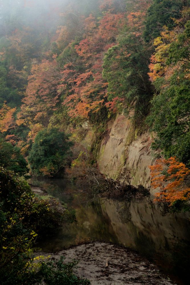 亀山ダムの画像 - 3枚目