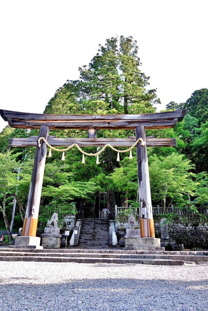 戸隠神社 中社の画像 - 2枚目