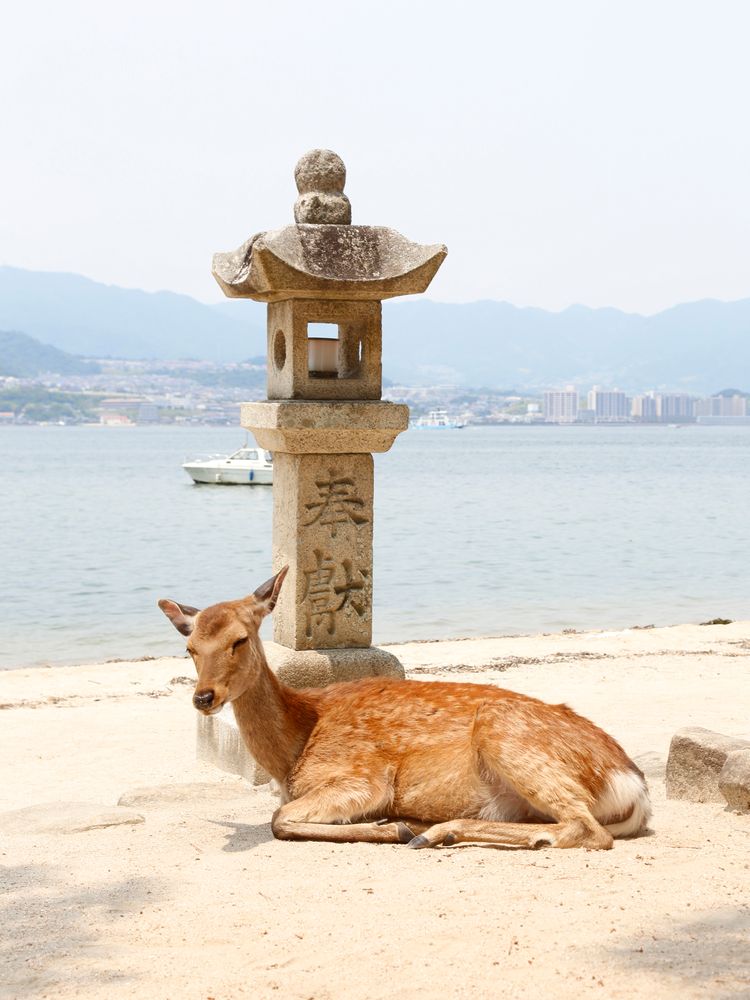 御笠浜の画像 - 4枚目