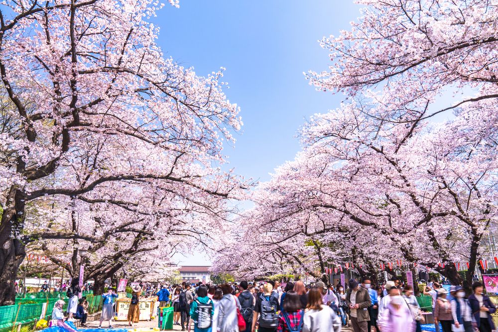 上野恩賜公園(上野公園)の画像 - 2枚目