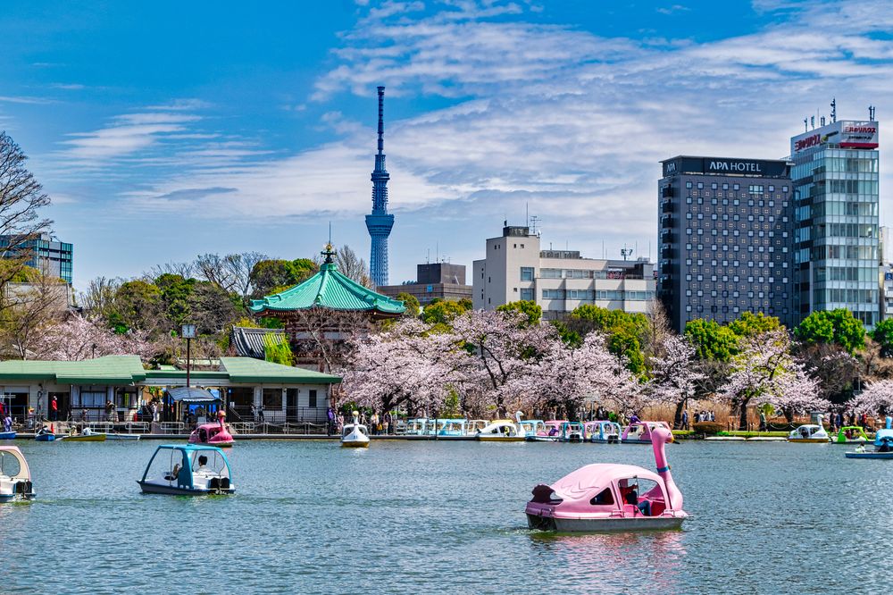 上野恩賜公園(上野公園)の画像 - 4枚目