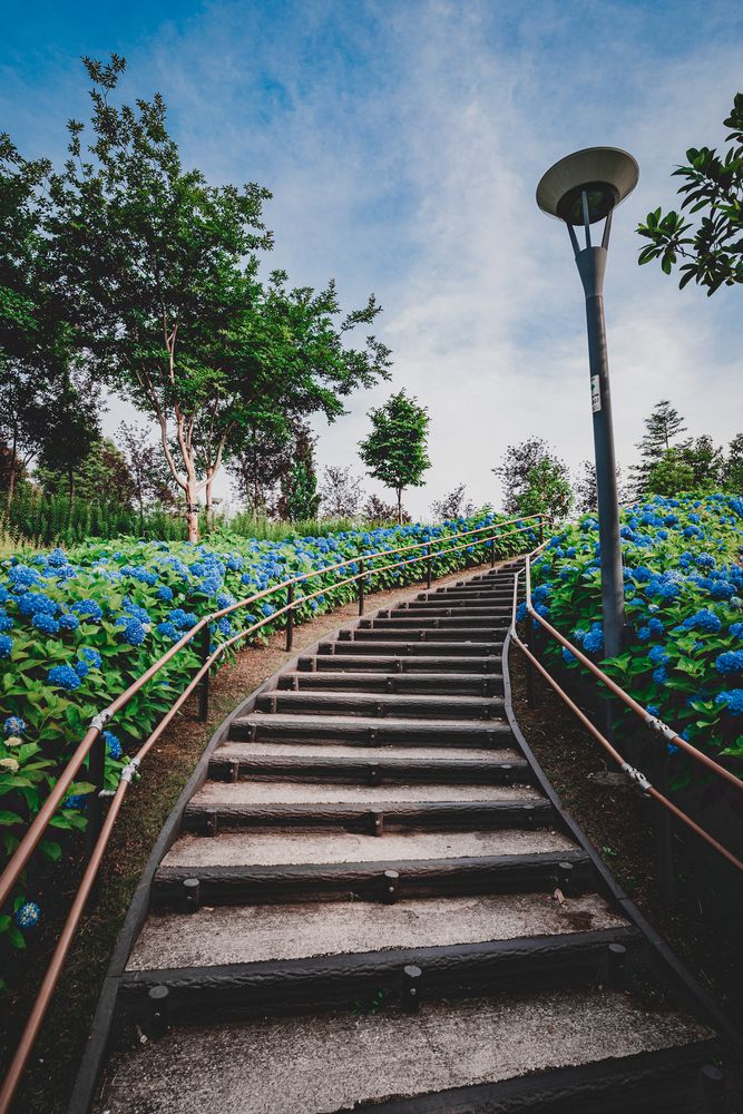 シンボルプロムナード公園】の周辺スポット・アクセス・口コミ - Prism