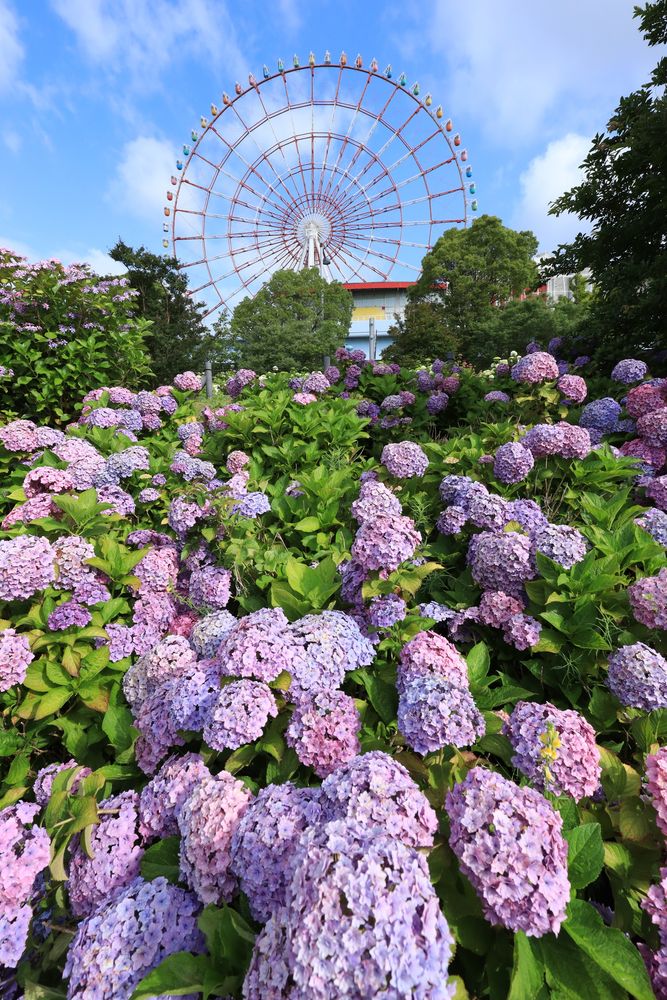 シンボルプロムナード公園の画像 - 2枚目