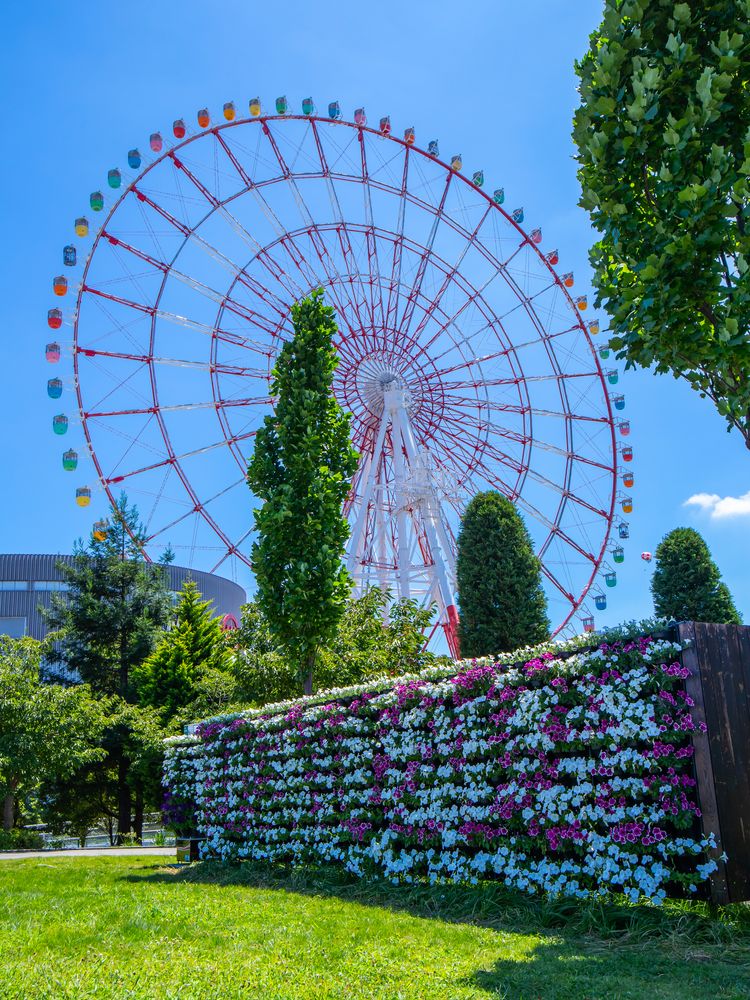 シンボルプロムナード公園の画像 - 4枚目