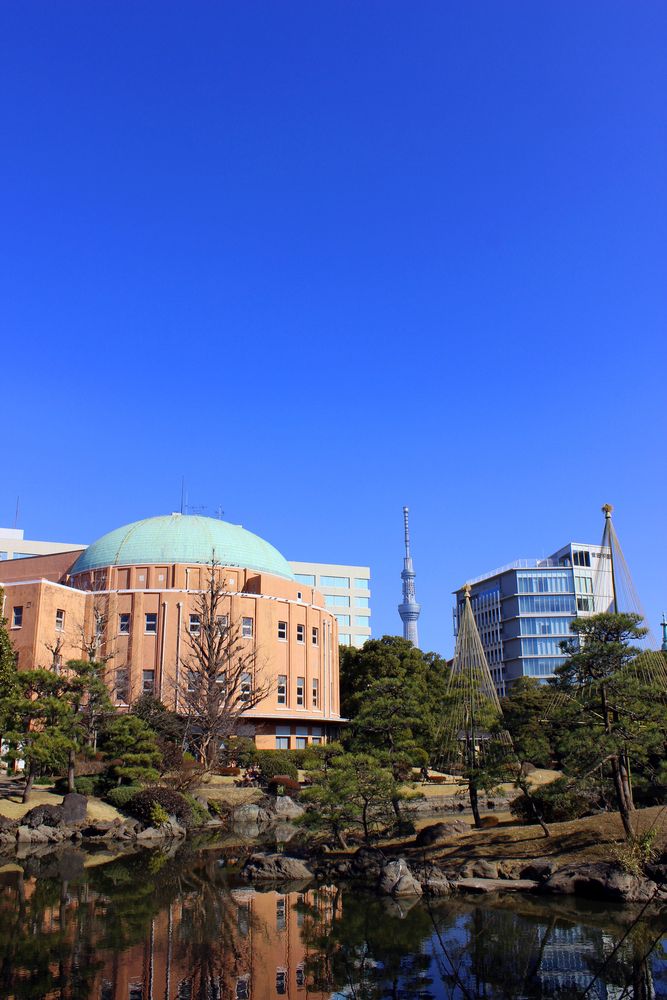 旧安田庭園の画像 - 5枚目