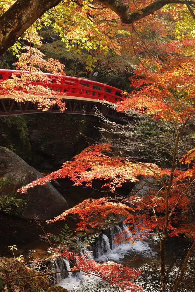 岩屋堂公園の画像 - 4枚目