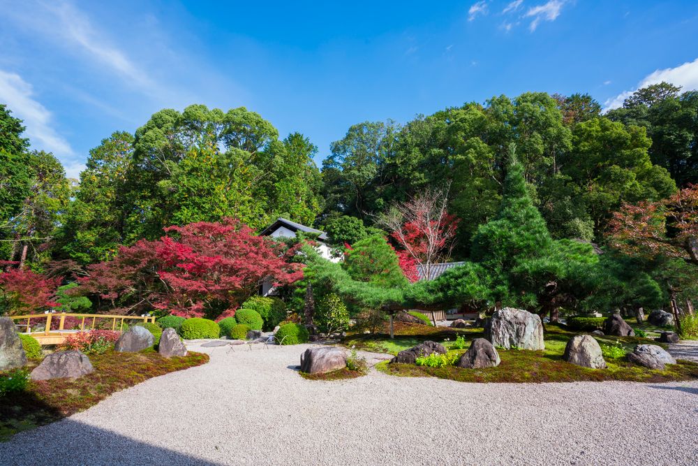 金戒光明寺の画像 - 8枚目