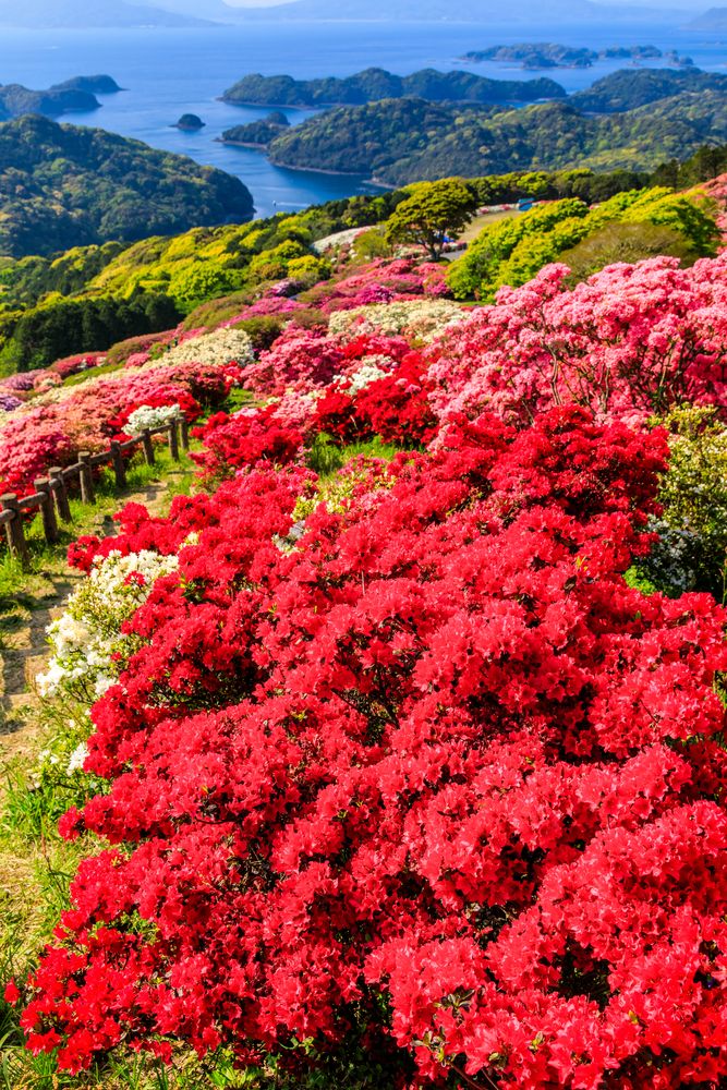 九十九島の画像 - 2枚目