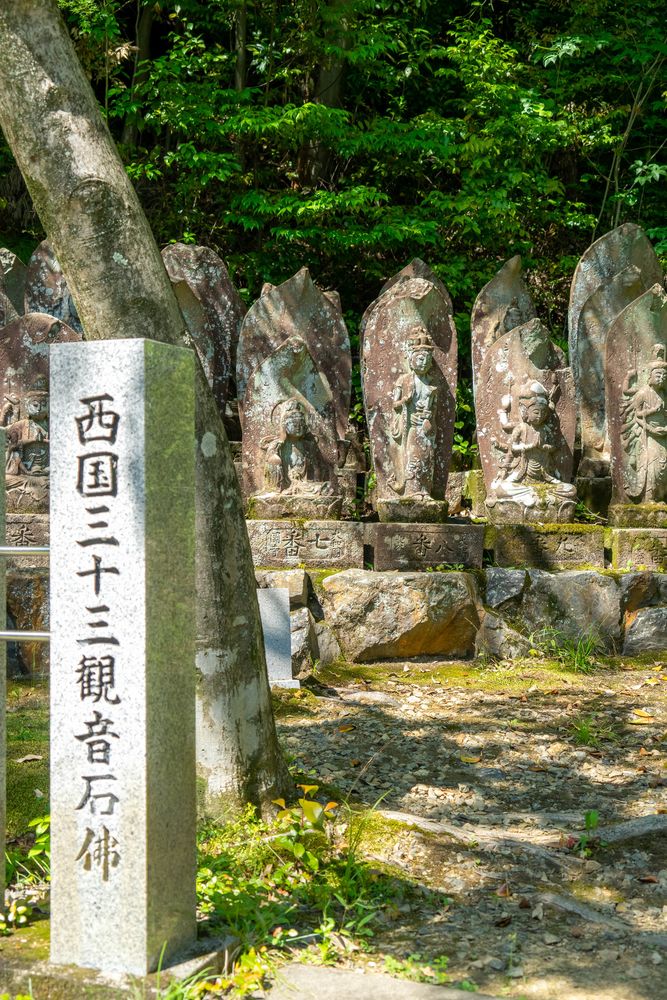智積院の画像 - 4枚目