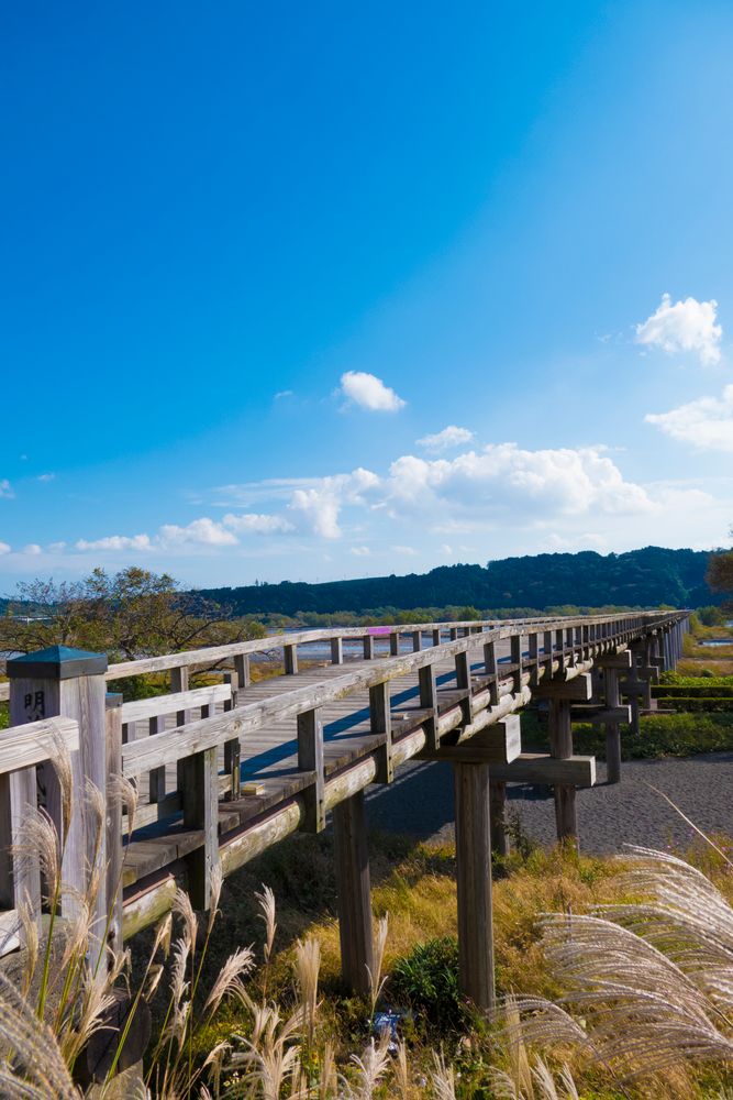 蓬莱橋の画像 - 5枚目