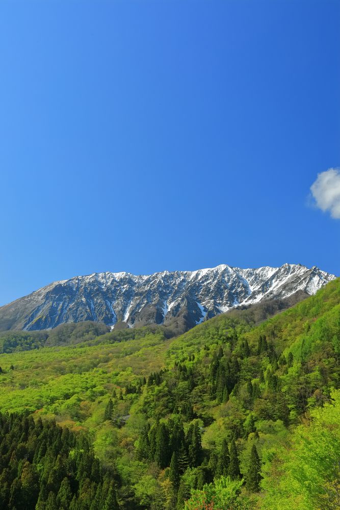 大山の画像 - 4枚目