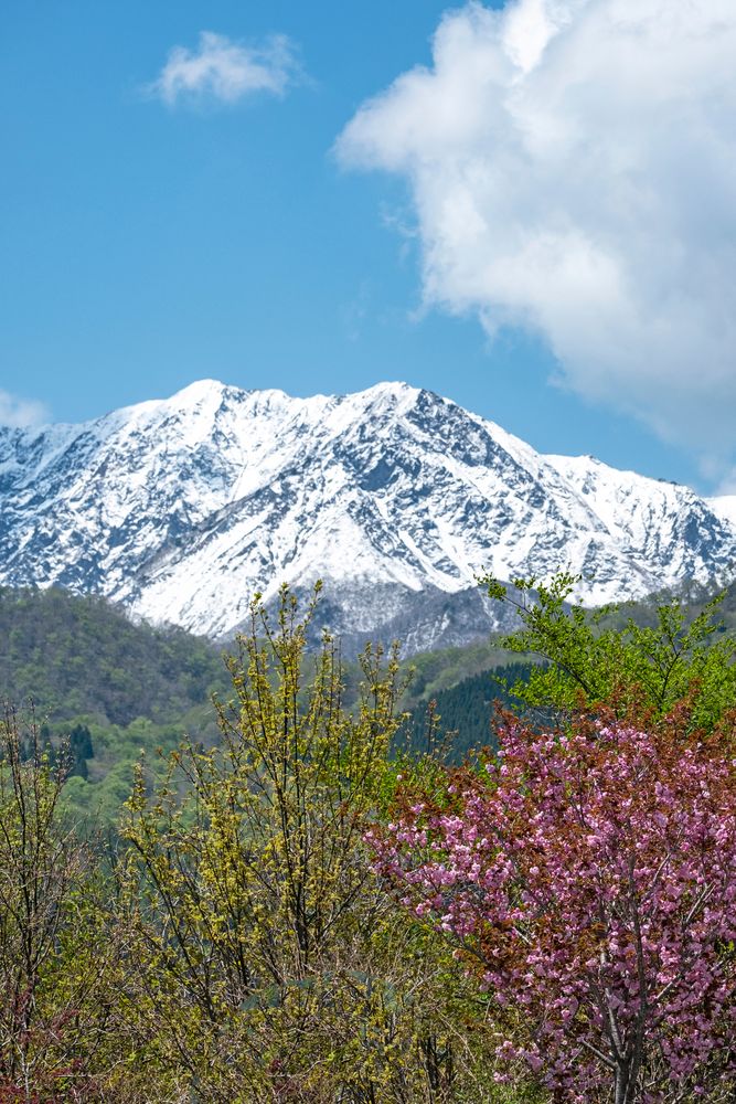 大山の画像 - 5枚目