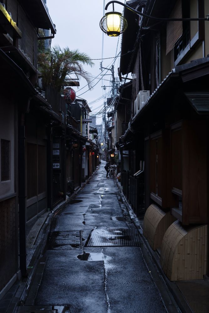 京都 先斗町通りの画像 - 3枚目