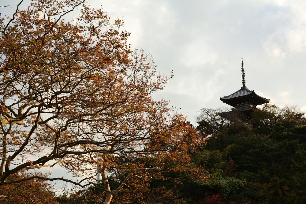 東慶寺の画像 - 2枚目