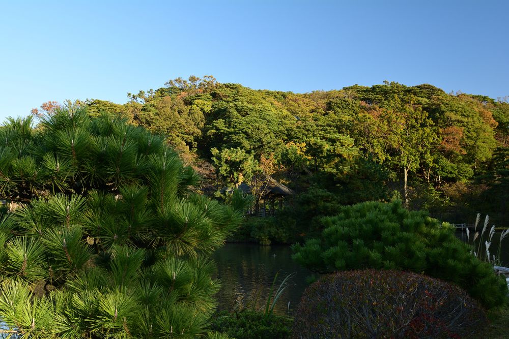 東慶寺の画像 - 3枚目