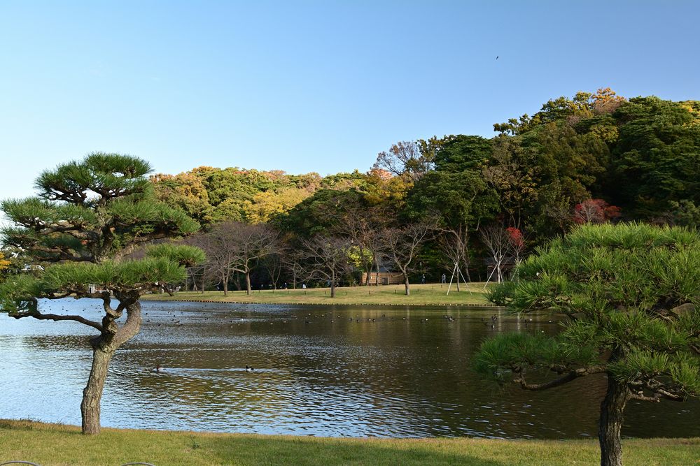 東慶寺の画像 - 5枚目