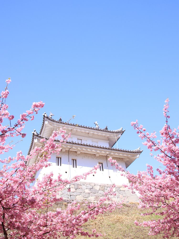 宇都宮城址公園の画像 - 5枚目