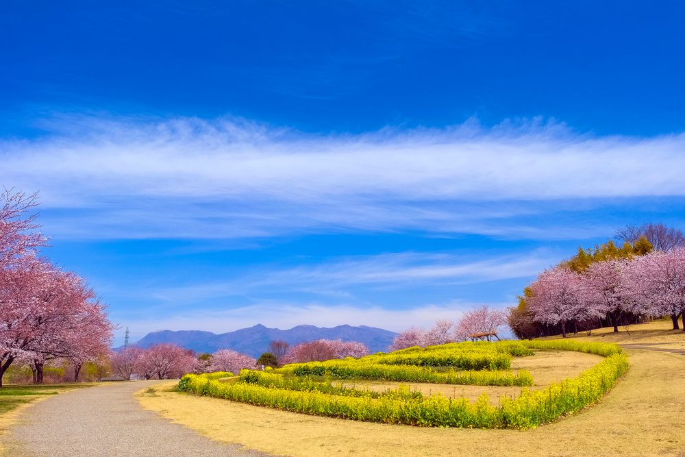大室公園の画像 - 4枚目