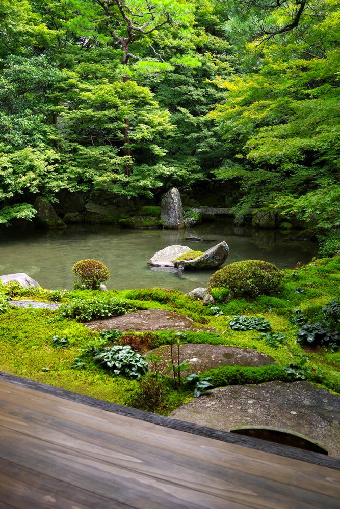 原画 油絵 京都 蓮華寺 静寂－しじま－ 蓮華寺 #8｜THE KYOTO｜京都新聞