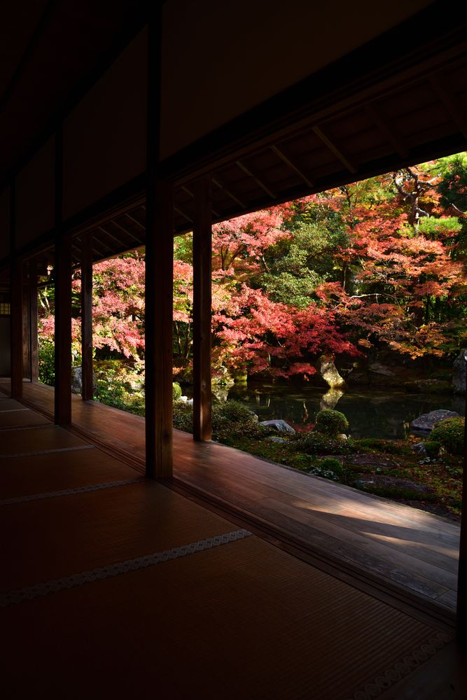 蓮華寺の画像 - 6枚目