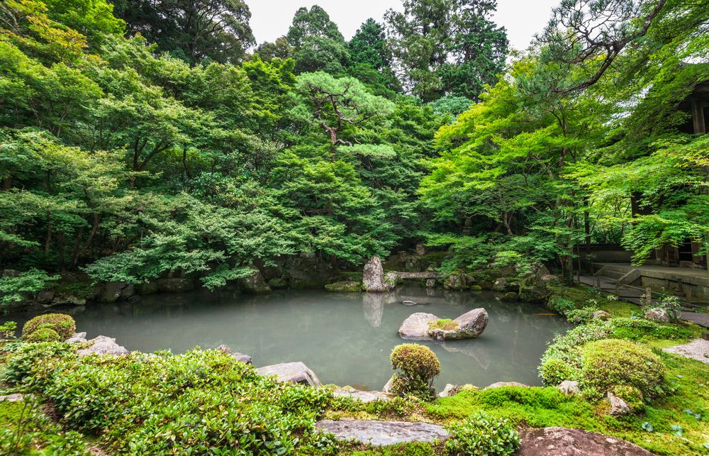 蓮華寺の画像 - 7枚目