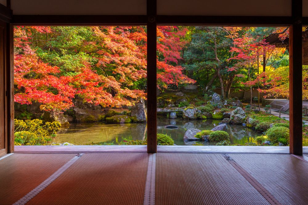 蓮華寺】の周辺スポット・アクセス・口コミ - Prism Japan