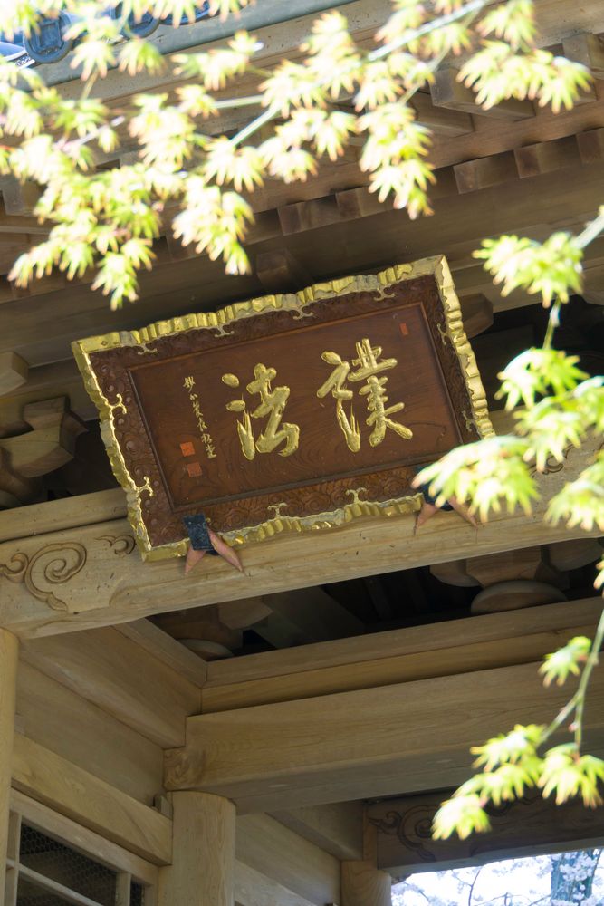 龍潭寺の画像 - 3枚目