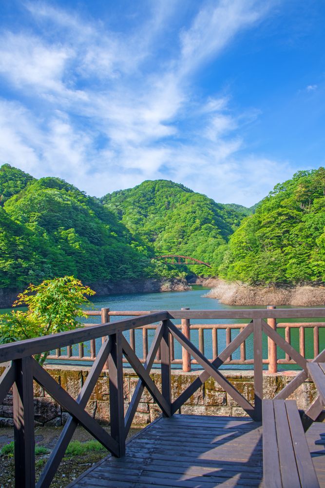 もみじ谷大吊橋の画像 - 3枚目