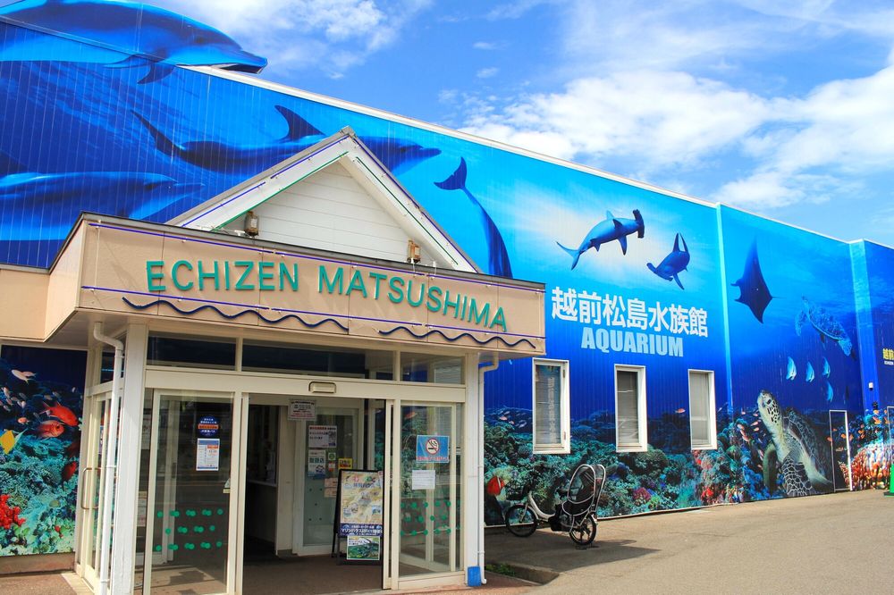 越前松島水族館の画像 - 7枚目