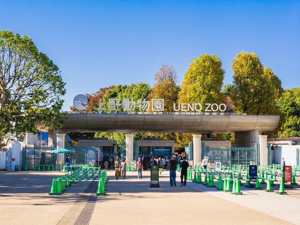 上野動物園の画像 - 6枚目