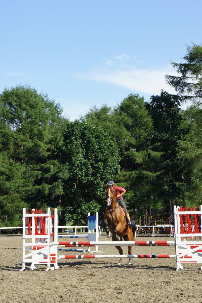 ノーザンホースパーク】の周辺スポット・アクセス・口コミ - Prism Japan