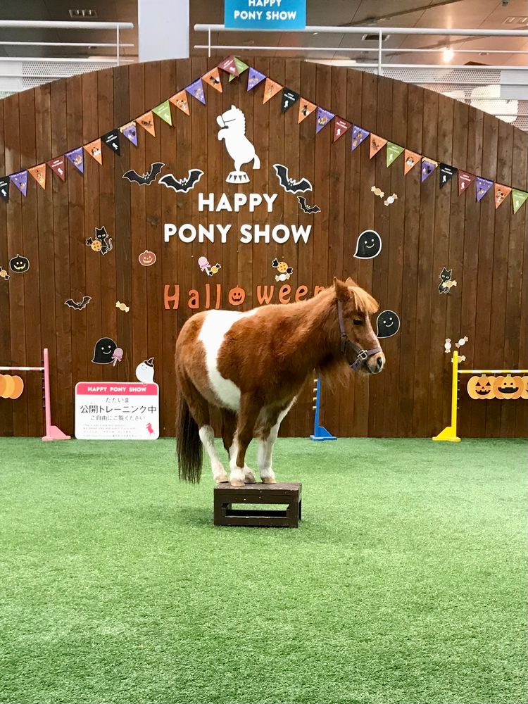 ノーザンホースパーク】の周辺スポット・アクセス・口コミ - Prism Japan